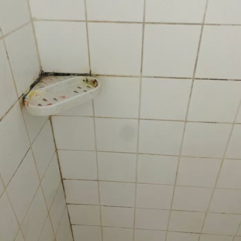 Yurtta Sandalye Ve İnternet Eksikliği, Temizlik Ve Bakım Sorunları