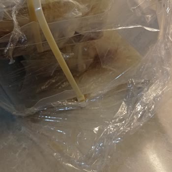 PTT Kargo Hasarlı Kargo Teslim Edilemedi Ve Şeffaf Olmayan İade Süreci