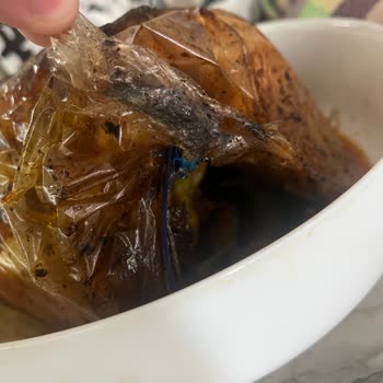 Fırın Torbası Eridi, Yemeği Kirletti