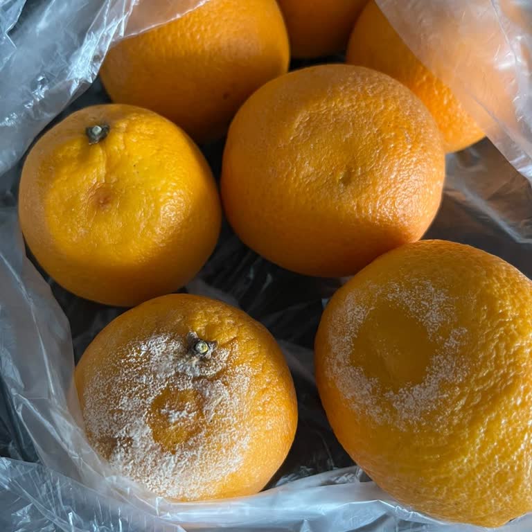 Migros Sanal Market’te Bozuk Portakal Ve İade Sorunu