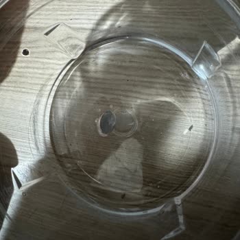 Karaca Blender Cam Haznesi Yapışık Çıkması Garanti Süresi Dışında Parça Değişimi Talebi