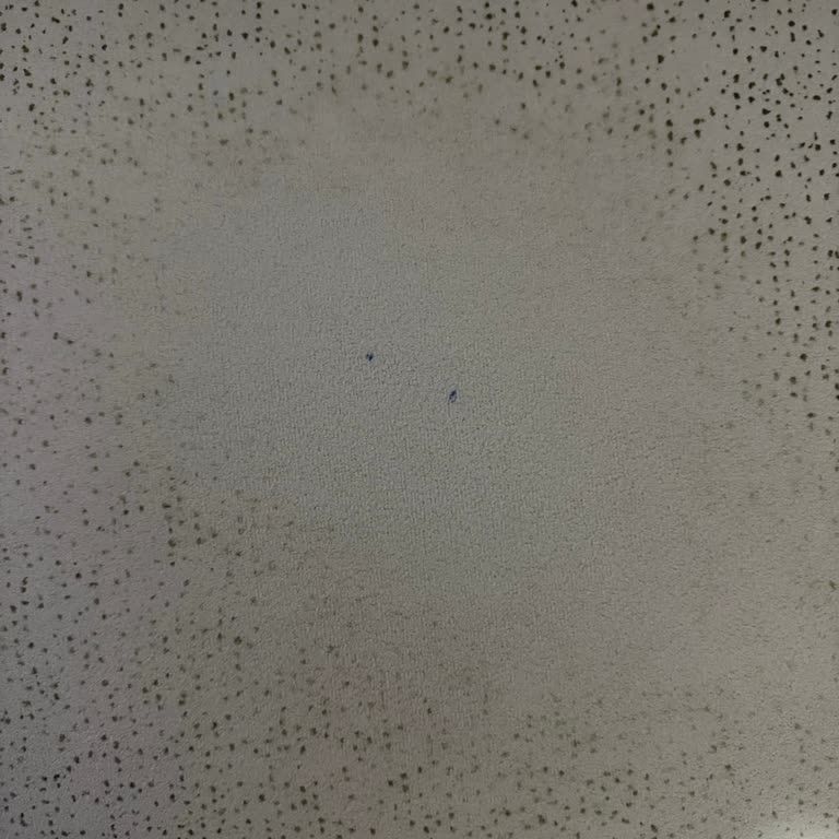 İstikbal Koltukta Silinebilir Kumaşın Renk Bozulması Ve Çökme Sorunu