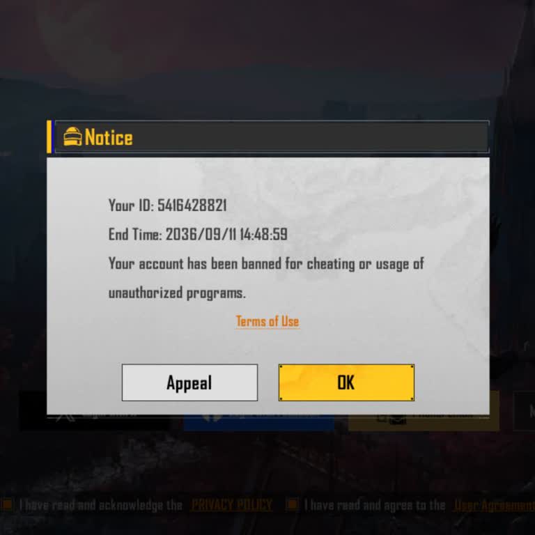 PUBG Mobile Unban Request