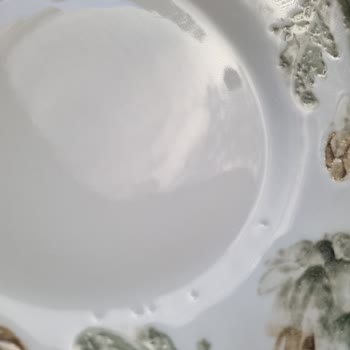 Hatalı Servis Tabağı Ve Çözüm Sürecinde Yaşanan Hayal Kırıklığı