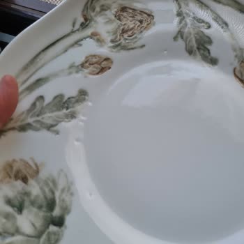 Hatalı Servis Tabağı Ve Çözüm Sürecinde Yaşanan Hayal Kırıklığı