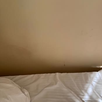 My Ella Resort & Spa Hijyen Ve Hizmet Sorunlarıyla Dolu Otelde Ayrımcılık Ve Sıcak Su Eksikliği