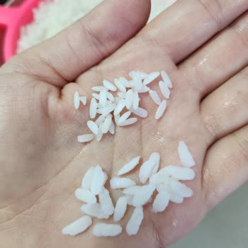 Yayla Bakliyat Gönen Baldo Pirinçte Lapa Ve Hamurlaşma Şikayeti