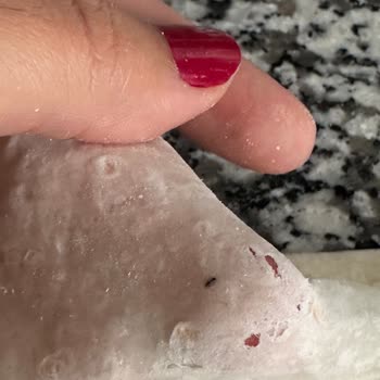 A101 Hizan Mağazasından Alınan Hazır Yufkada Karınca Ve Siyah Lekeler
