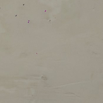 Yeni Aldığım İphone 17 Pro Max Kamera Lensinde Lekeler Değişim Talebi