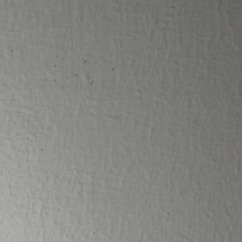 Yeni Aldığım İphone 17 Pro Max Kamera Lensinde Lekeler Değişim Talebi