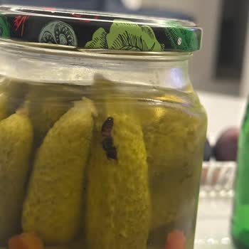 Kavanoz Turşusunda Böcek Bulunması Ve Gıda Güvenliği İhlali