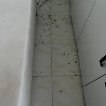 Beko Mikrodalga Ön Camı Kendiliğinden Patladı: Güvenlik Endişesi