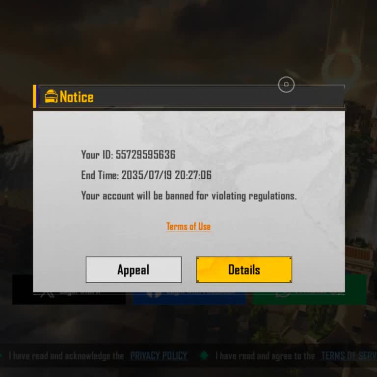 Battlegrounds Mobile India Unban Request
