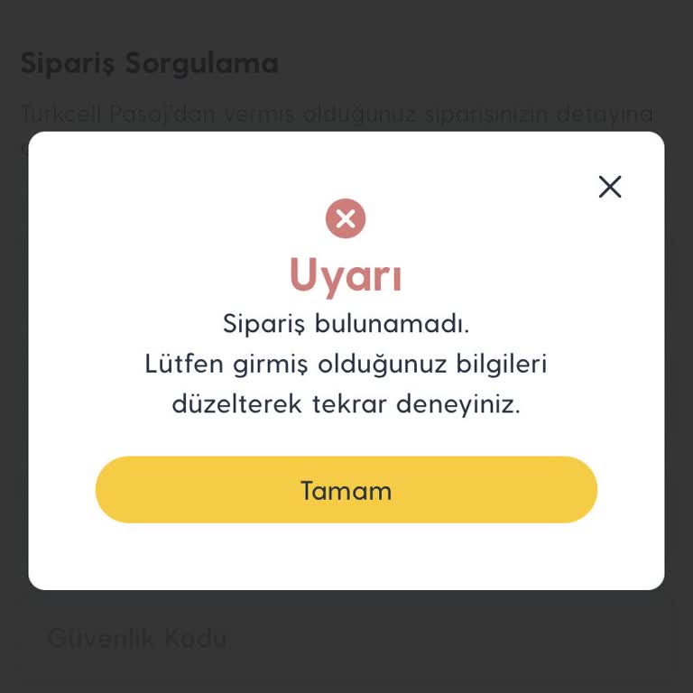 Siparişim 20 Gün Kargoda, Teslim Edilmedi Ve Sistem Bilgileri Çelişkili