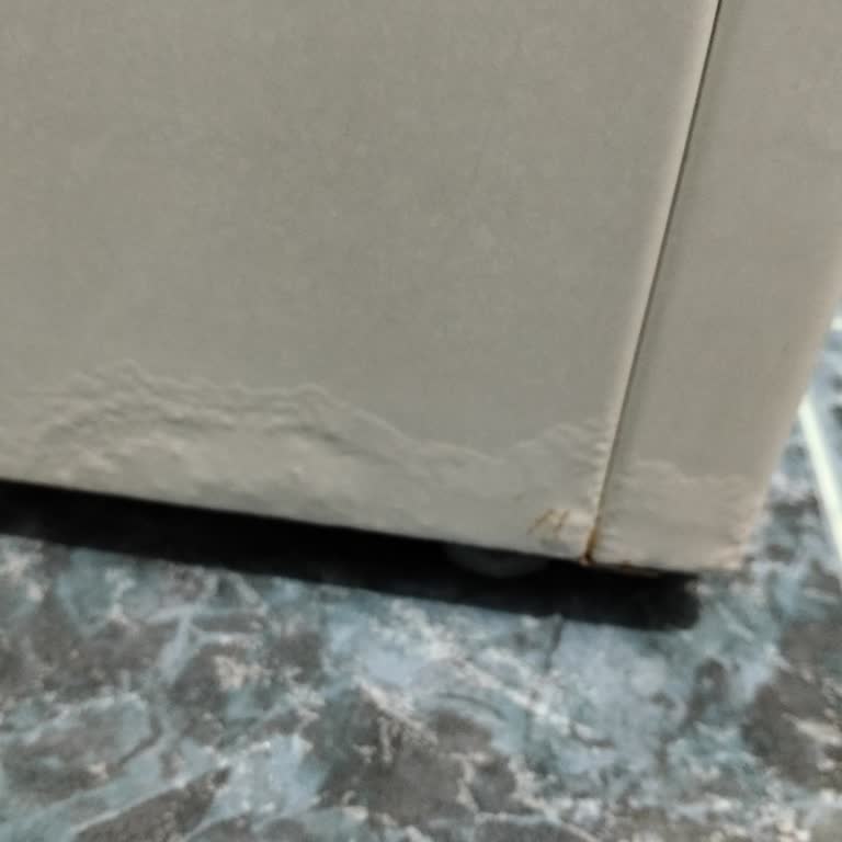 Bosch Çamaşır Makinesinde Küflenme, Boya Atması Ve Performans Sorunları