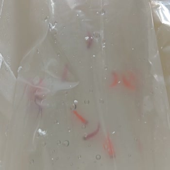 Canlı Balıkların Kargo Şartları Nedeniyle Ölümü Ve İade Talebi