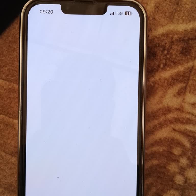 Vodafone Müşteri Hizmetleri Çözüm Sunamıyor, 15 Gün Süren İnternet Kesintisi