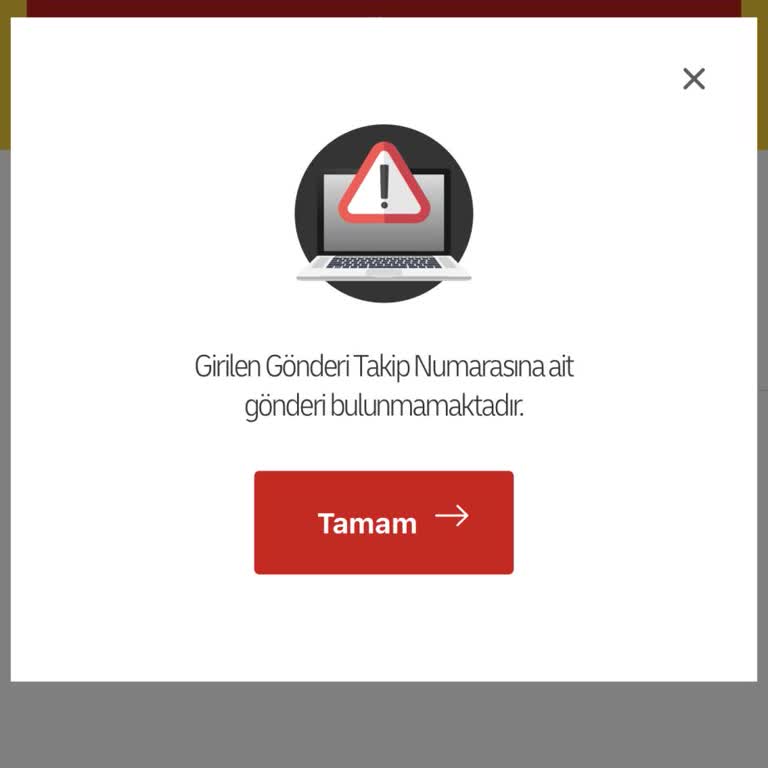Kayıp Sipariş Ve Cevapsız İletişim Nedeniyle Tam İade Talebi