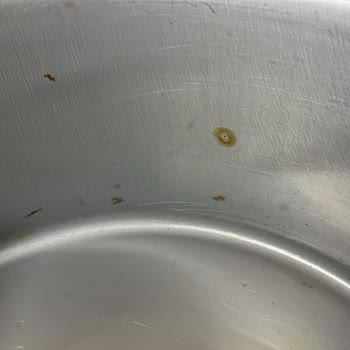 Kazan Bölümündeki Hızlı Paslanma Ve Cevapsız Garanti Talebi