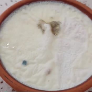 Öz Üstad Yoğurt Küflü, Özür Paketi Rica Ediyorum