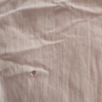 Bosch Çamaşır Makinesi Kıyafetleri Deliyor Ve Servis Belgeleri Eksik
