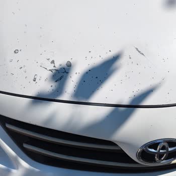Toyota Corolla’da Kronik Boya Problemi İçin Ücretsiz Servis Sözünün Yerine Getirilmemesi