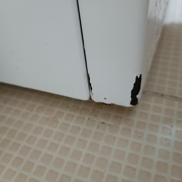 Garanti Kapsamındaki Çamaşır Makinesinde Çürüme Sorunu Ve Servisin Kullanım Hatası İddiası