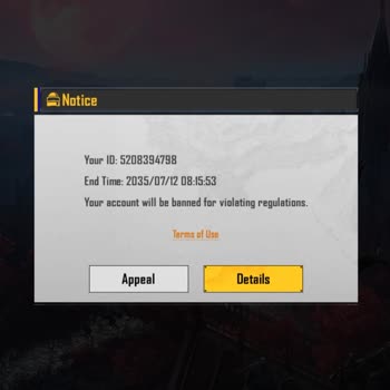 Battlegrounds Mobile India Unfairly Got Banned