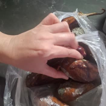 Profilo Buzdolabının Hızlı Çürüme Sorunu Ve Çözüm Bulamayan Servis, İade Talebi
