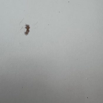 Malm Şifonyerde Soyulma Ve Komodinde Çatlak Tam İade Talebi