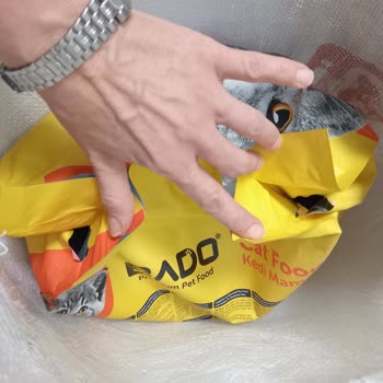 Patlamış Kedi Maması Ve İdefix Destek Hattı Çözüm Sunmuyor
