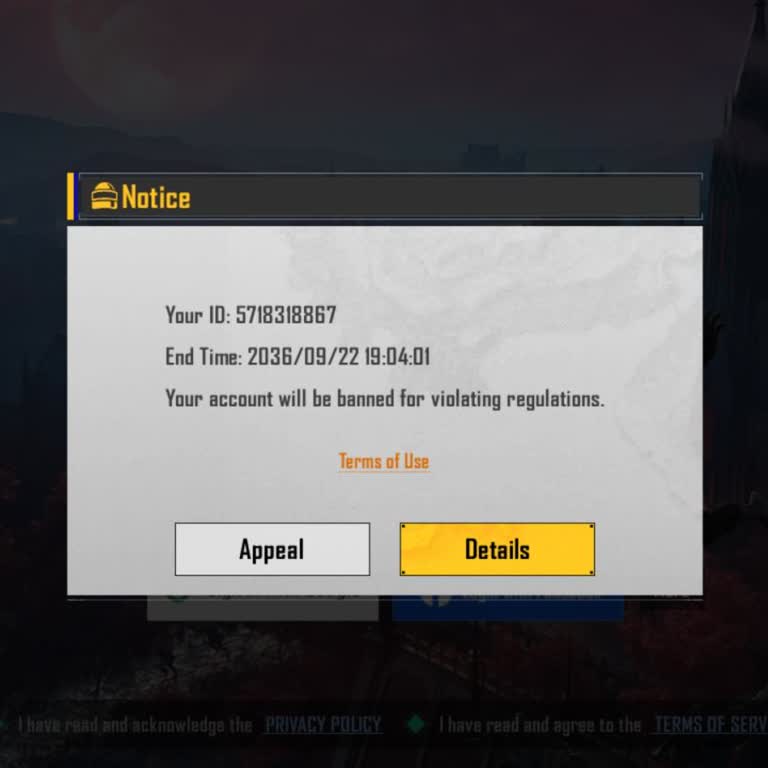 BGMI Account Ban Appeal