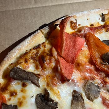 Çiğ Ve Yanmış Pizza Teslimatı, Otomatik Destek Yanıtı