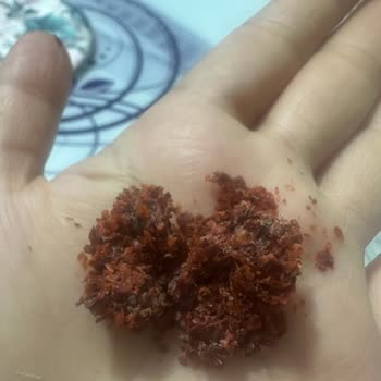 Satılan Küflü Pul Biber İçin İade Reddi Şikayeti