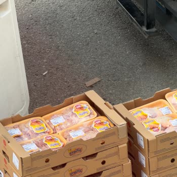 Erpiliç Tavuk Ürünlerinin Açıkta Soğuk Zincir İhlali