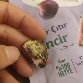 Satın Aldığım Dondurulmuş İncir Ürünü Küflü Çıktı Ve Çocuğumun Sağlığını Tehlikeye Atıyor