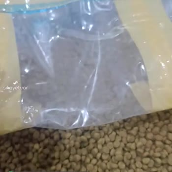 Maman Evde Şeffaf Poşette Ne Olduğu Belirsiz Mama Gönderimi