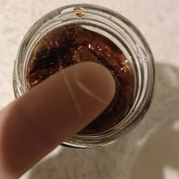Domates Konservesinde Plastik Parça Bulundu Gıda Güvenliği Endişesi