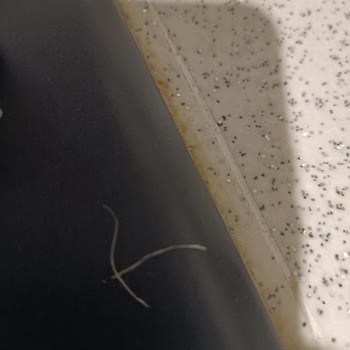 Domates Konservesinde Plastik Parça Bulundu Gıda Güvenliği Endişesi