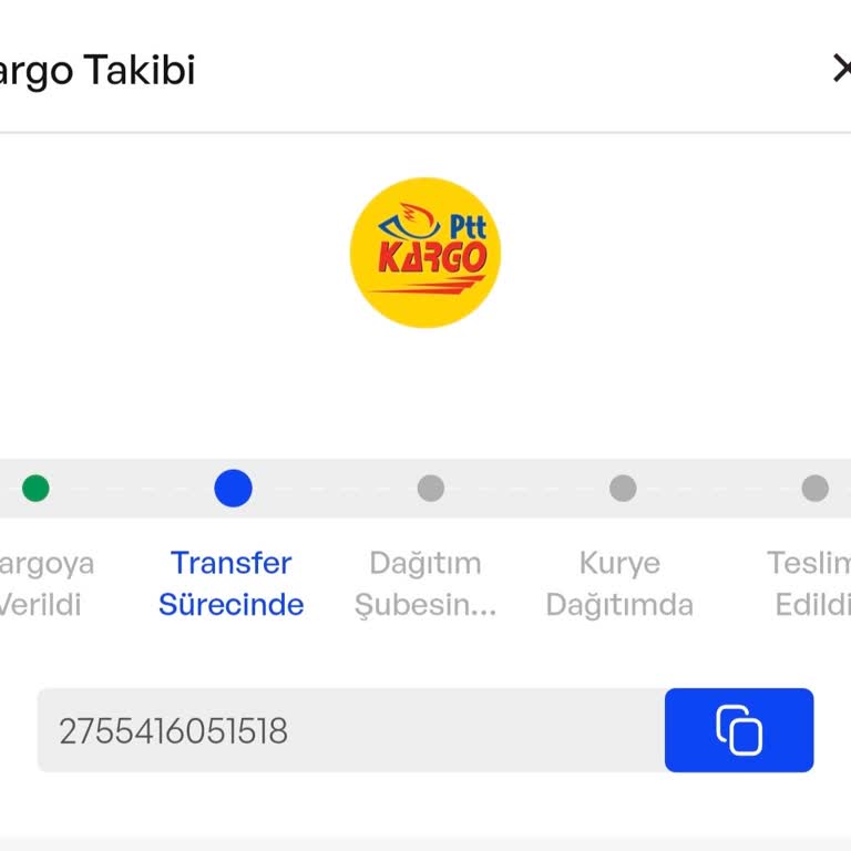 PTT Kargo’nun Kedi Kumu Gönderisini Günlerce Beklettiği Mağduriyet