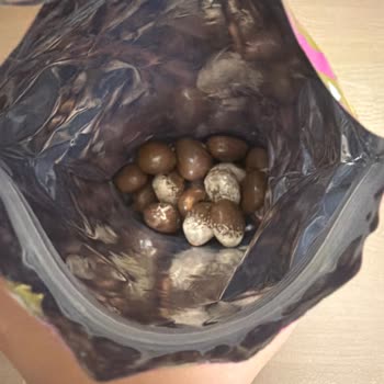 Kahve Dünyası Bonbon Çikolata Bozuldu: İade Ve Değişim Talebi