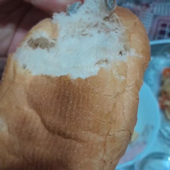 Mavikent Belediyesi Halk Ekmeğinde Küflü İç Doku Ve Sağlık Tehlikesi