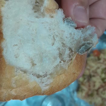 Mavikent Belediyesi Halk Ekmeğinde Küflü İç Doku Ve Sağlık Tehlikesi