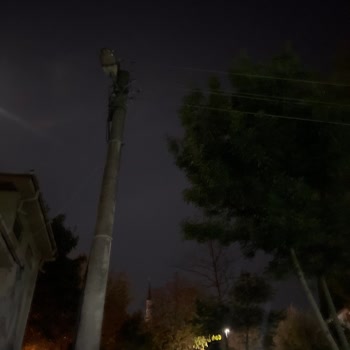 Zümrüt Sokak’ta Sokak Lambaları Çalışmıyor, Güvenlik Riski Oluştu