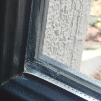 Ödenen 6500 TL’ye Karşı Yüzeysel Temizlik Ve İade Talebi