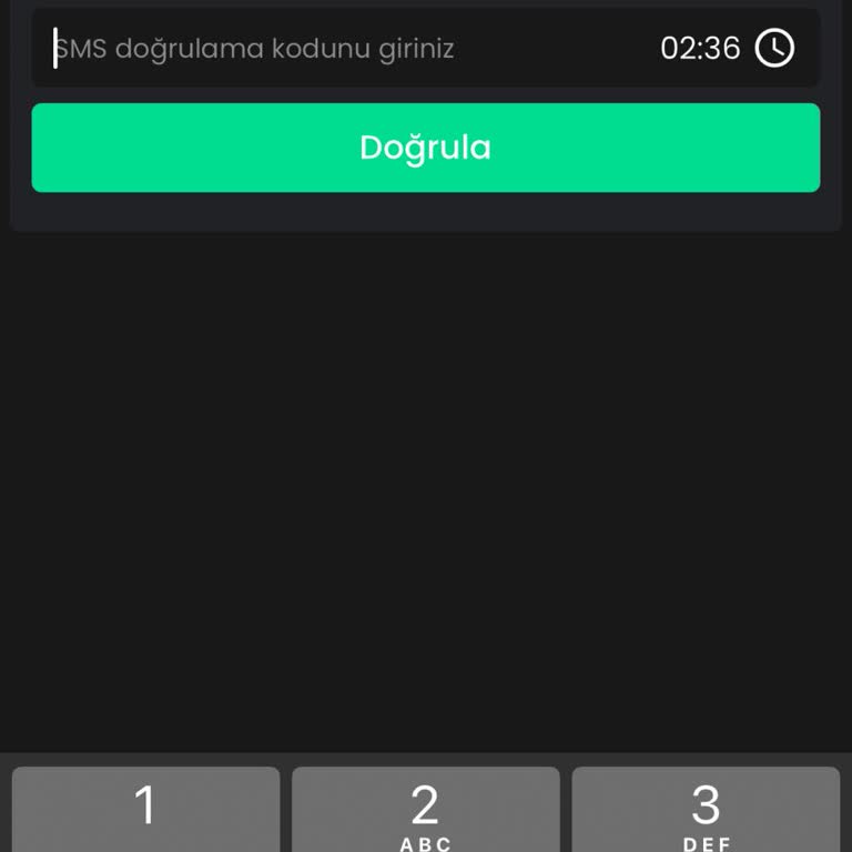 Bitay Hesabına Erişememe: SMS Onay Kodu Gelmiyor