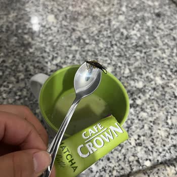 Cafe Crown Matcha Latte Ürünün İçinde Böcek Tespiti Ve İade Talebi