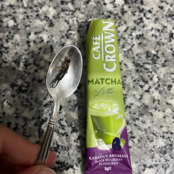 Cafe Crown Matcha Latte Ürünün İçinde Böcek Tespiti Ve İade Talebi