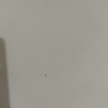 Maden Suyunda Cam Parçası Şikayeti