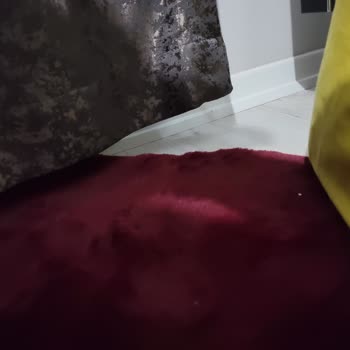 Can Perde Gebze Verdiğim Paranın ve Emeğin Karşılığını Alamadığımı Düşünüyorum